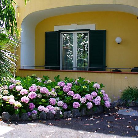 Hotel La Marticana Ischia Exterior photo