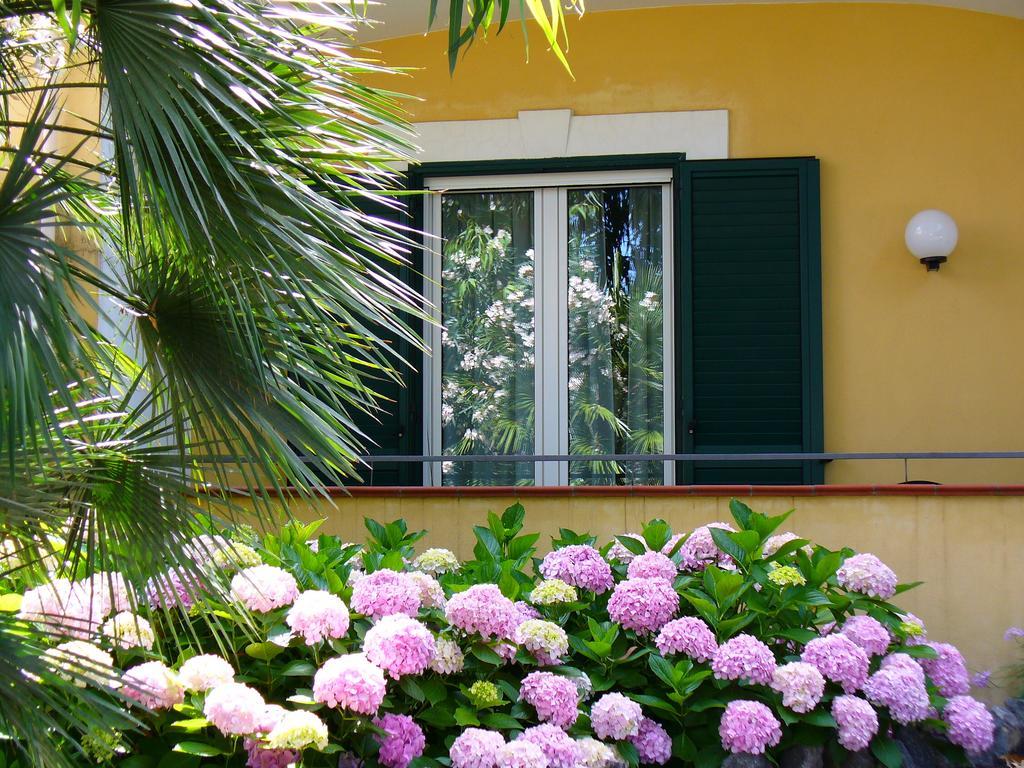 Hotel La Marticana Ischia Exterior photo
