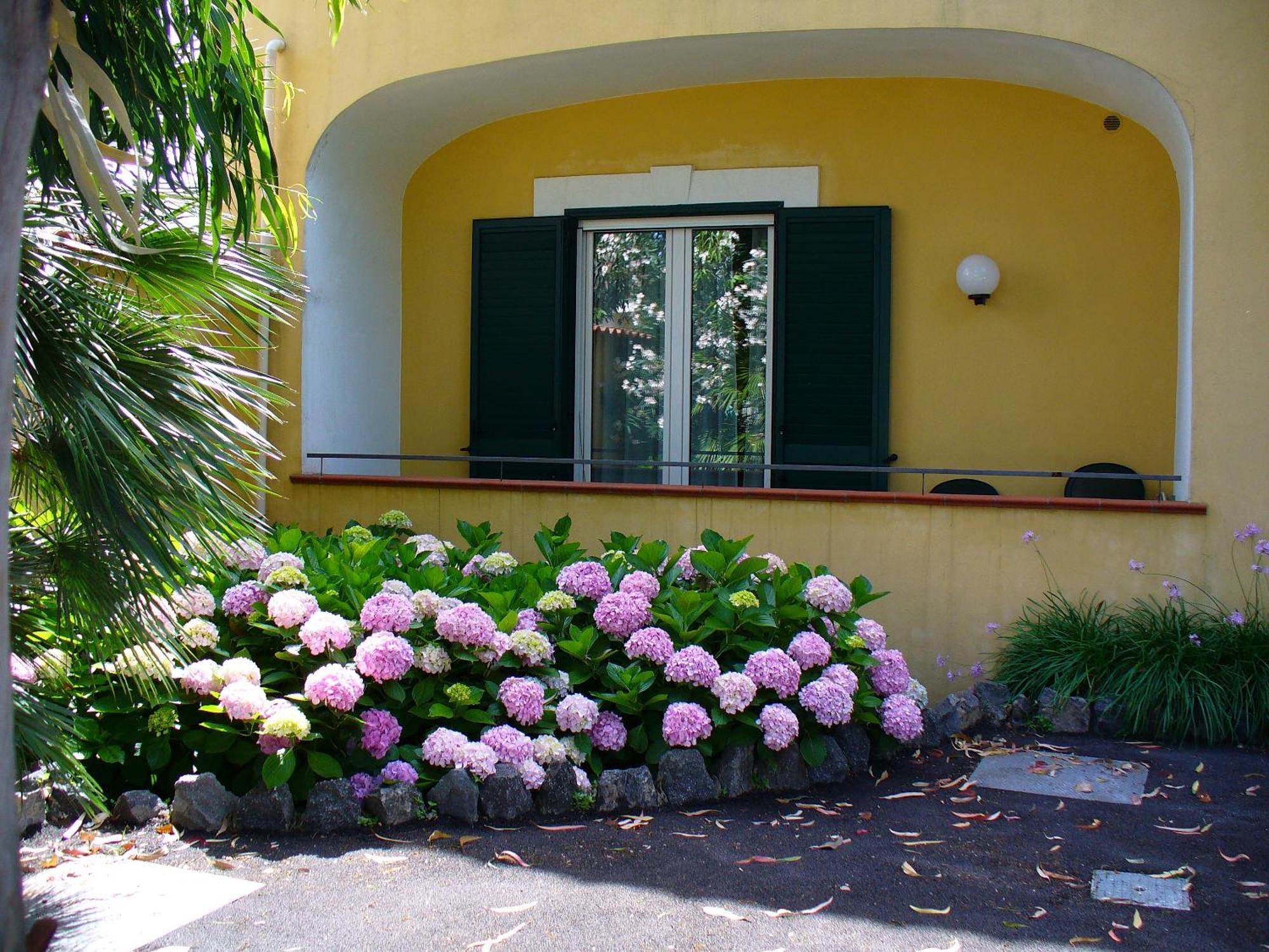 Hotel La Marticana Ischia Exterior photo