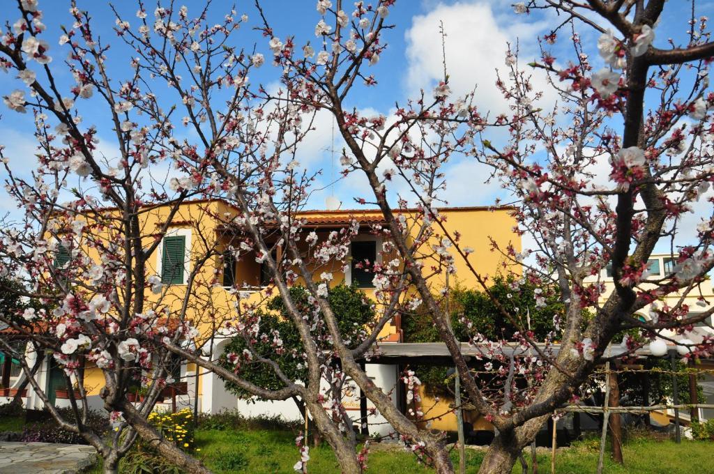 Hotel La Marticana Ischia Exterior photo