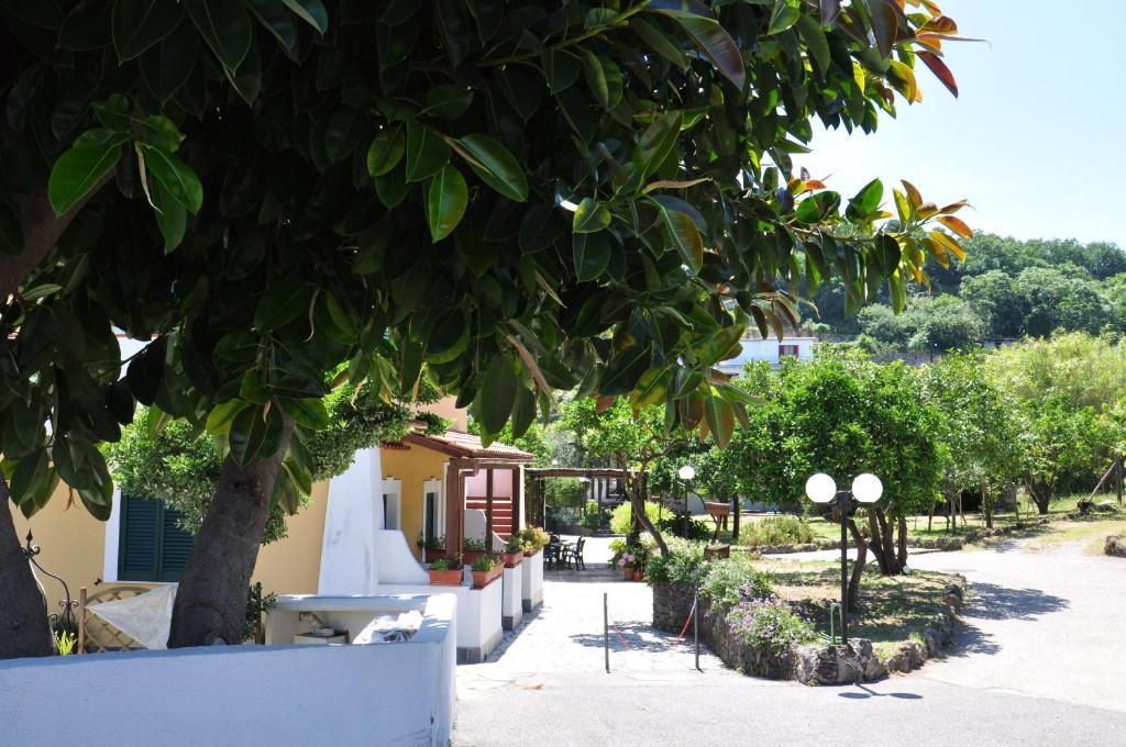 Hotel La Marticana Ischia Exterior photo