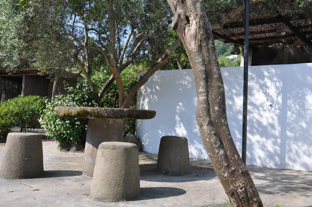 Hotel La Marticana Ischia Exterior photo